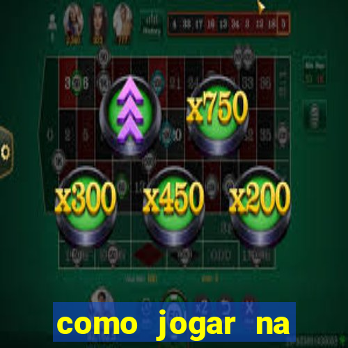 como jogar na teimosinha da lotofacil