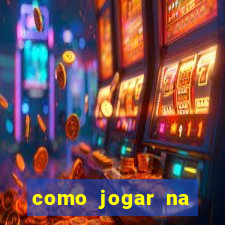 como jogar na teimosinha da lotofacil