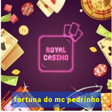 fortuna do mc pedrinho