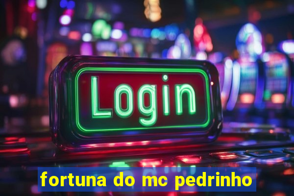 fortuna do mc pedrinho