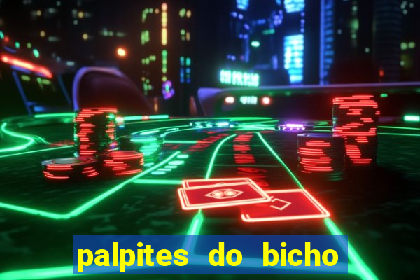 palpites do bicho no celular