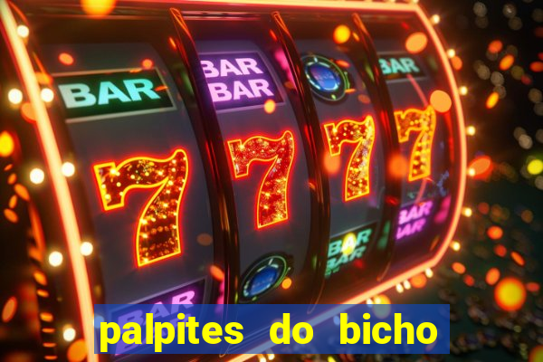 palpites do bicho no celular