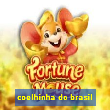 coelhinha do brasil