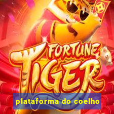 plataforma do coelho