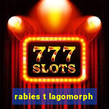 rabies t lagomorph