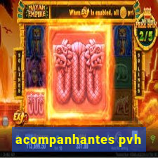 acompanhantes pvh