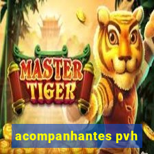 acompanhantes pvh