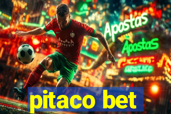 pitaco bet