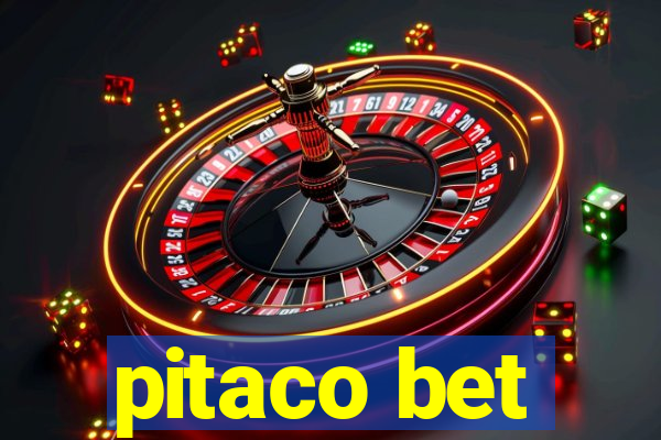 pitaco bet