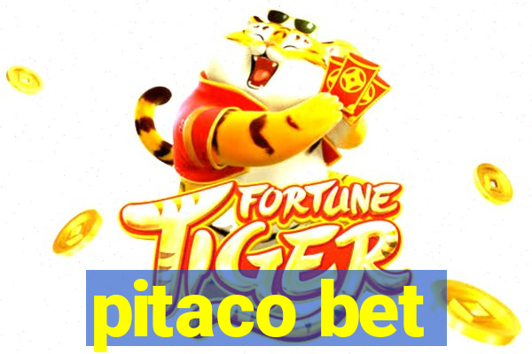 pitaco bet