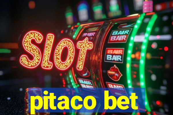 pitaco bet