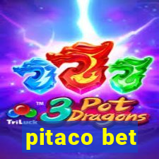 pitaco bet