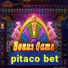 pitaco bet