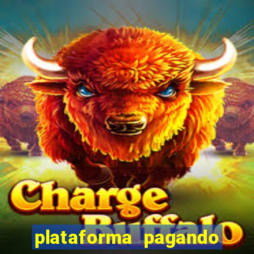 plataforma pagando no cadastro tigre