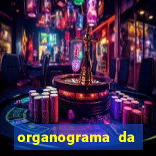 organograma da cacau show