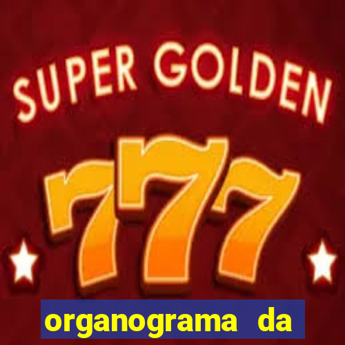 organograma da cacau show