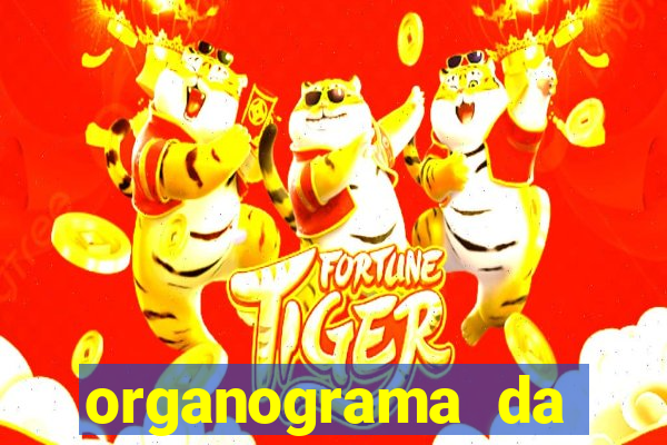 organograma da cacau show