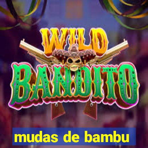 mudas de bambu