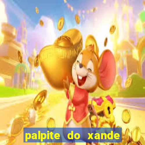 palpite do xande de hoje