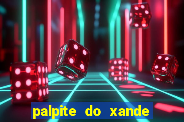 palpite do xande de hoje