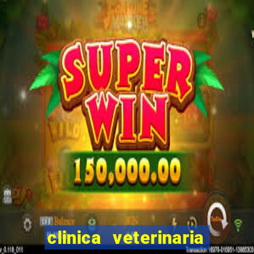 clinica veterinaria cuidar betim