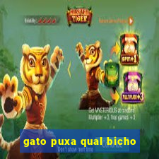 gato puxa qual bicho