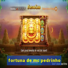 fortuna de mc pedrinho