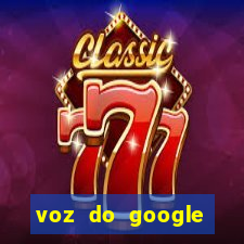 voz do google tradutor homem