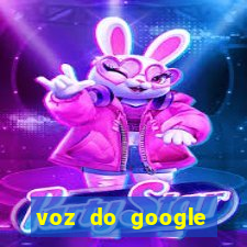 voz do google tradutor homem