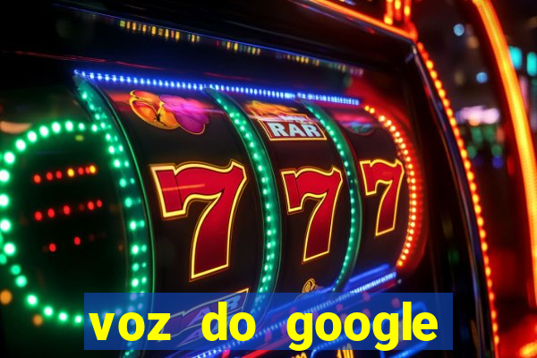 voz do google tradutor homem