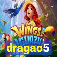 dragao5