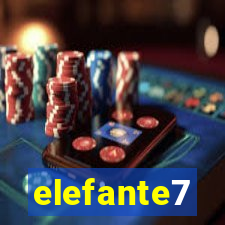 elefante7