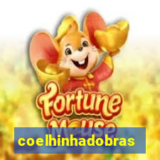 coelhinhadobrasil