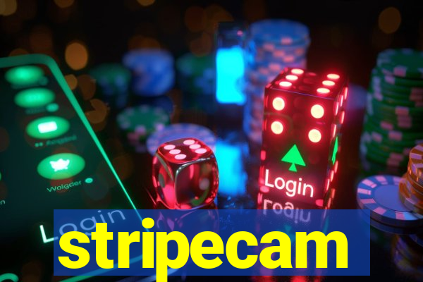 stripecam