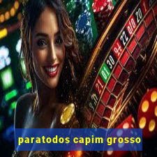 paratodos capim grosso