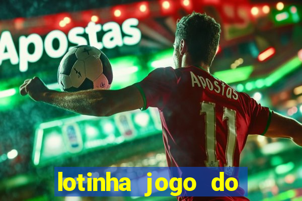 lotinha jogo do bicho como funciona