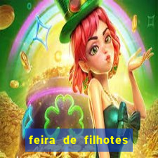 feira de filhotes porto alegre