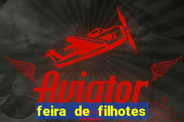 feira de filhotes porto alegre