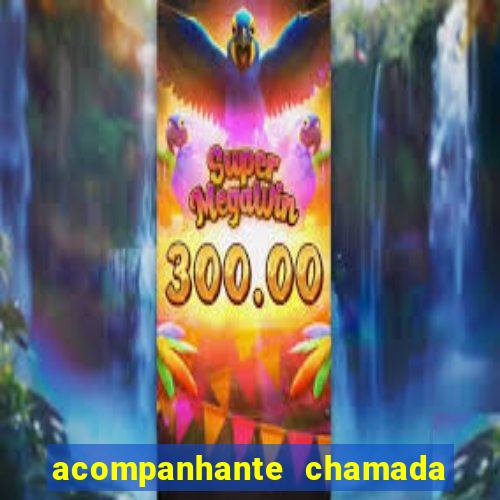 acompanhante chamada de video