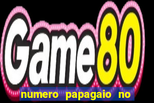 numero papagaio no jogo do bicho