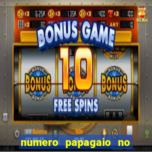 numero papagaio no jogo do bicho