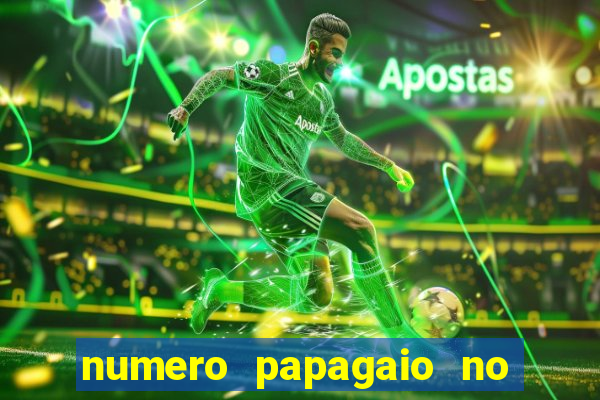 numero papagaio no jogo do bicho