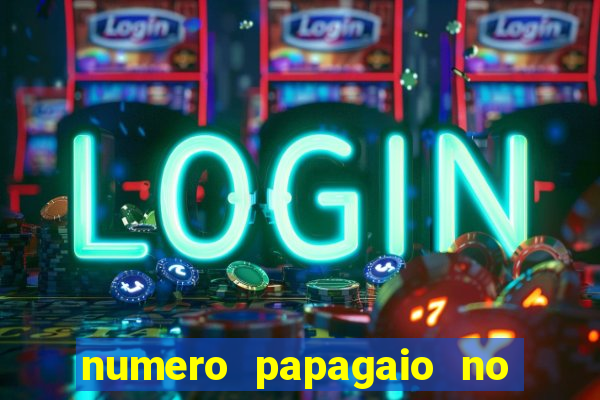 numero papagaio no jogo do bicho