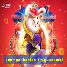 acompanhantes em guanambi