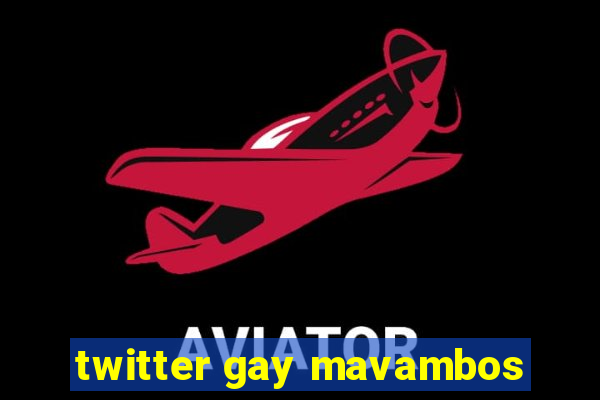 twitter gay mavambos