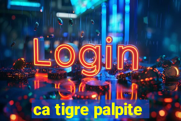 ca tigre palpite