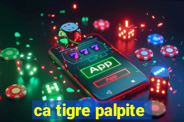 ca tigre palpite