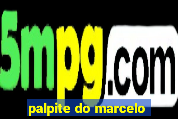 palpite do marcelo