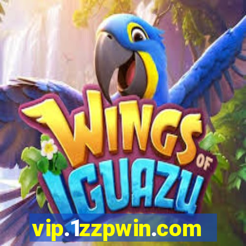 vip.1zzpwin.com