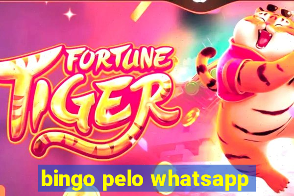 bingo pelo whatsapp